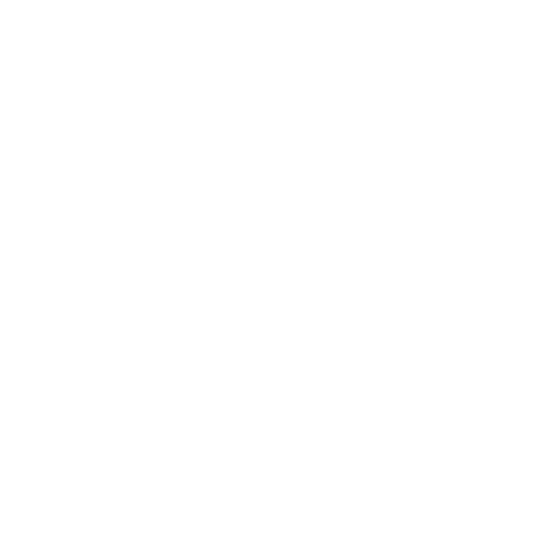 NSP Icon telephone white